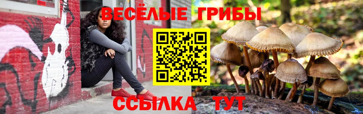 Псилоцибиновые грибы GOLDEN TEACHER Сосновый Бор