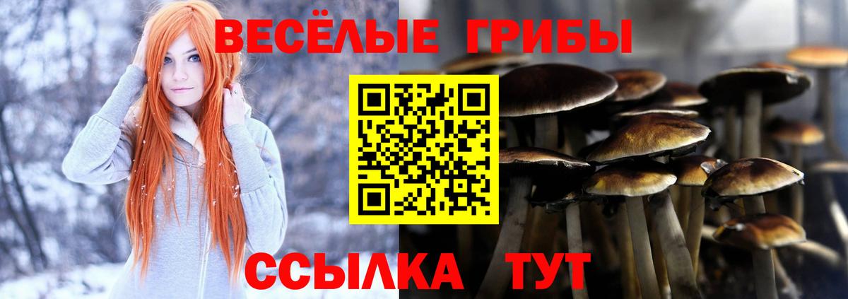 Сосновый Бор  Галлюциногенные грибы Psilocybe  Вход с VPN 